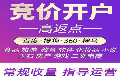 成功SEM竞价托管案例分析报告